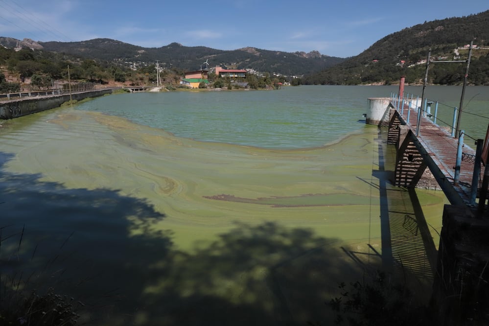 Foto: Ricardo Calleja