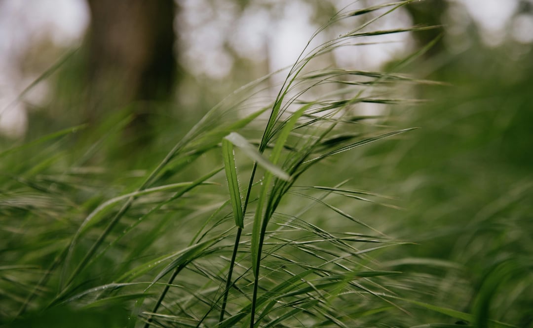 Alerta Roja en Pachuca | Foto: Pexels