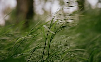 Emite ayuntamiento de Pachuca Alerta Roja por fuertes vientos
