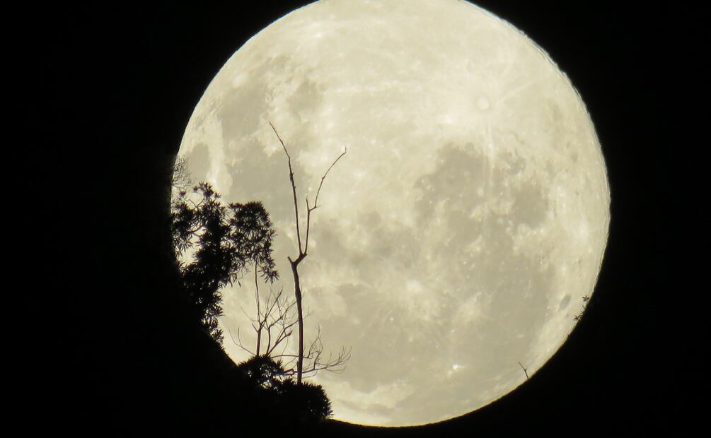 La luna llena de noviembre es la última del otoño | Imagen ilustrativa