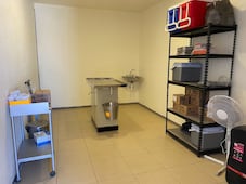 Buscan regular veterinarias y estéticas de mascotas en Hidalgo por control sanitario