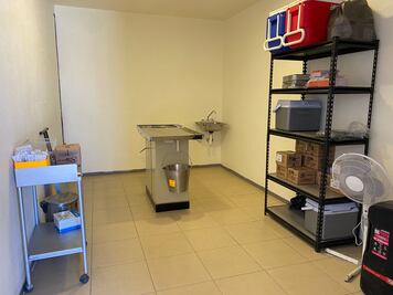 Buscan regular veterinarias y estéticas de mascotas en Hidalgo por control sanitario