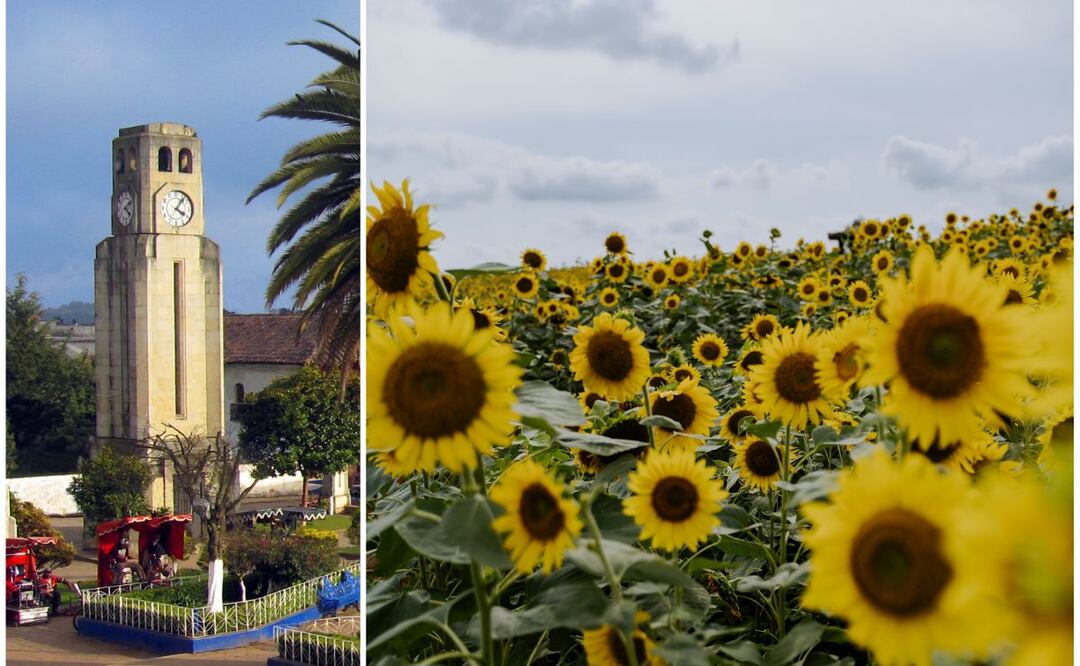 Fotos: Wikimedia Commons | Corelens