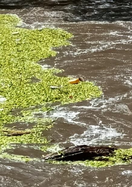 Aumenta el caudal del río Tula en Ixmiquilpan por desfogue de la presa Endho | Foto: Especial