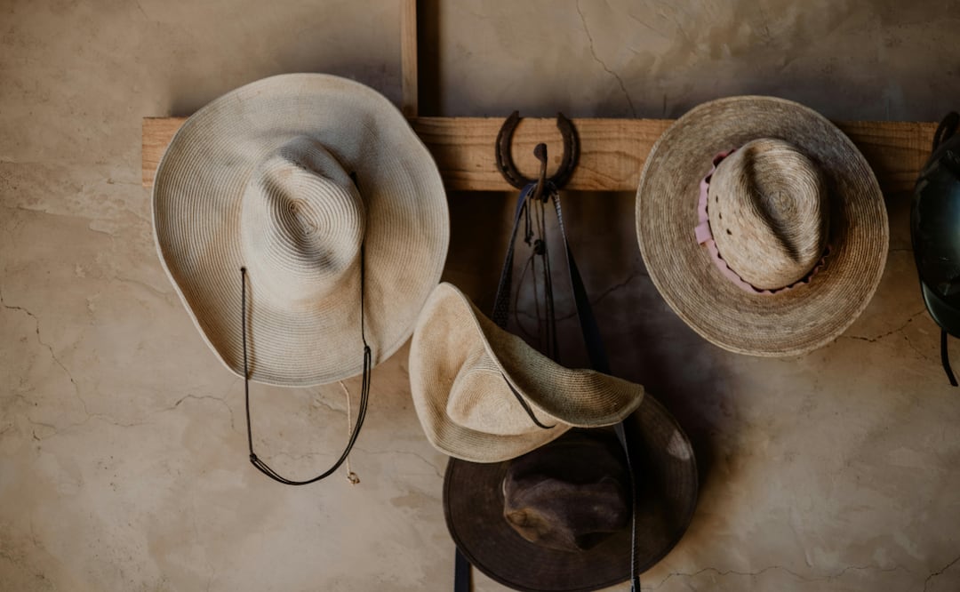 ¡Una cita histórica que impulsa la inclusión y el turismo en la región! Foto: Pexels