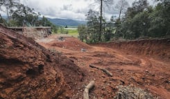 Detectan en Singuilucan daño forestal, Profepa clausura obra