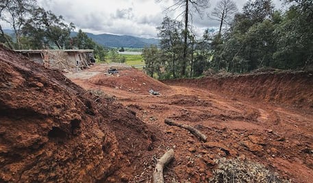 Detectan en Singuilucan daño forestal, Profepa clausura obra