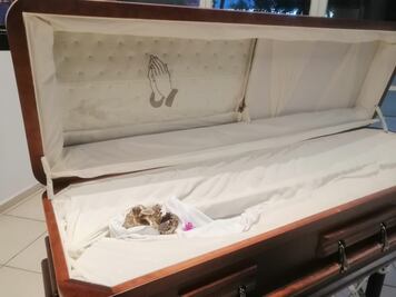 El Arte de Vivir de la Muerte, exposición fotográfica