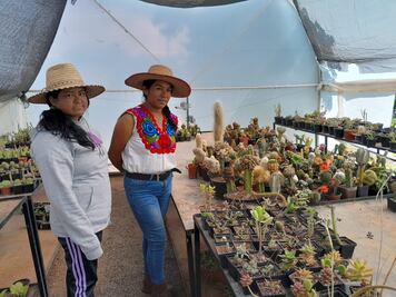 “Las Camaleonas”, un ejemplo de emprendimiento y fortalecimiento de la mujer indígena