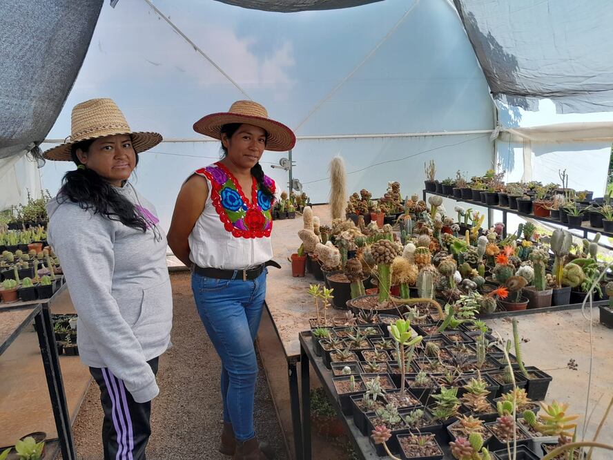 También mencionaron que necesitan participar en capacitaciones para incrementar sus conocimientos | Foto: Erika Gutierrez