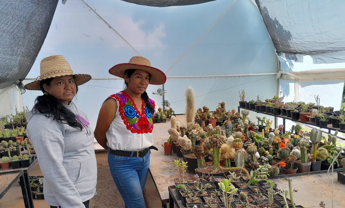 También mencionaron que necesitan participar en capacitaciones para incrementar sus conocimientos | Foto: Erika Gutierrez