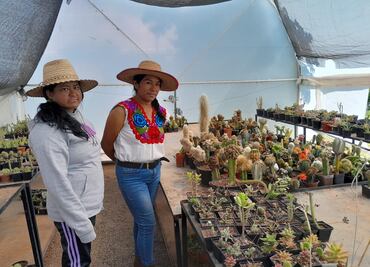 “Las Camaleonas”, un ejemplo de emprendimiento y fortalecimiento de la mujer indígena