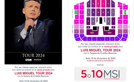 Inicia venta exclusiva para ver a Luis Miguel en estadio Hidalgo en Pachuca
