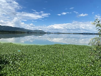 Comisión Especial del Congreso vigilaría también restauración ecológica de presa Endhó