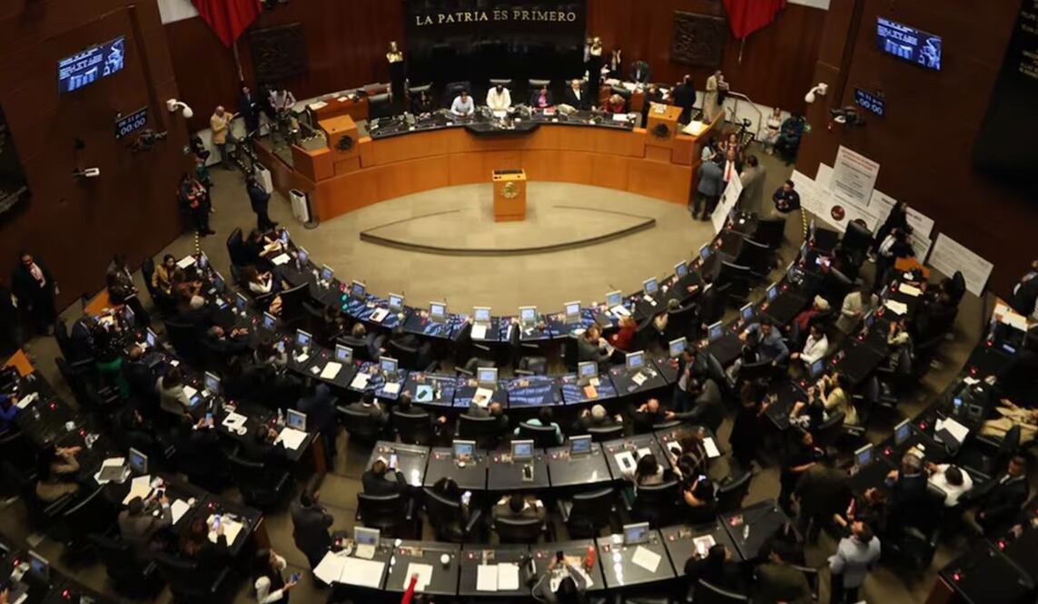 Senado alista reforma para regular venta de drones en plataformas digitales. Foto: Diego Simón/EL UNIVERSAL