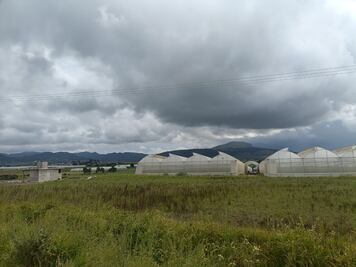 Lluvias favorecen recarga de mantos freáticos y buen desarrollo de cultivos en el Valle de Tulancingo