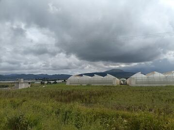 Lluvias favorecen recarga de mantos freáticos y buen desarrollo de cultivos en el Valle de Tulancingo