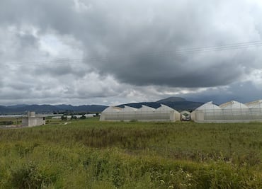Lluvias favorecen recarga de mantos freáticos y buen desarrollo de cultivos en el Valle de Tulancingo