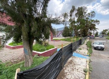 Demolerán alberca olímpica del Polideportivo Plata; construirán oficinas de gobierno en su lugar
