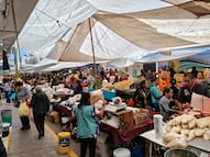 Tulancingo censará a comerciantes de alimentos para reforzar vigilancia sanitaria
