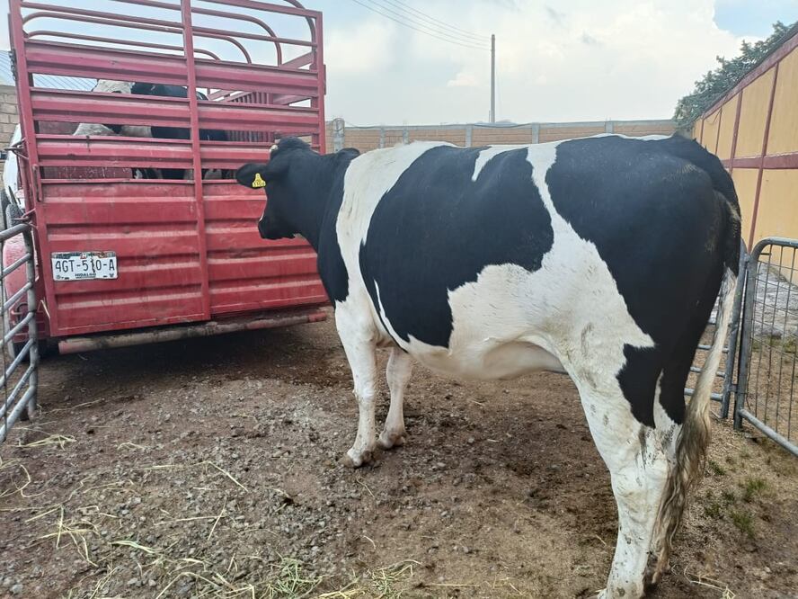 El centro de acopio es una obra a cargo de Seguridad Alimentaria Mexicana (SEGALMEX) | Foto: Grisel Lira