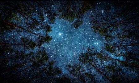 Inicia la Semana Internacional del Cielo Oscuro 2023 con una exposición astrofotográfica