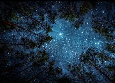 Inicia la Semana Internacional del Cielo Oscuro 2023 con una exposición astrofotográfica