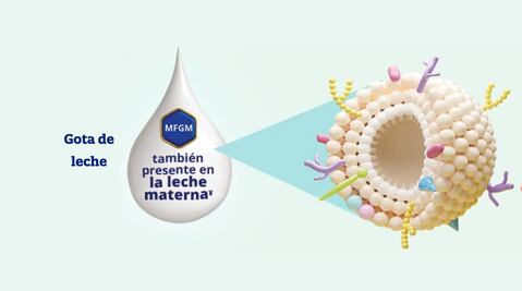 El tipo de leche que ayuda a retrasar el deterioro cognitivo