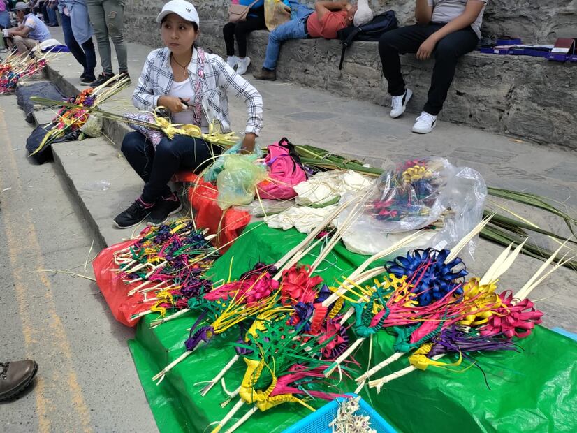 Cientos de fieles católicos asisten a bendición de palmas en la Huasteca | Foto: Francisco Bautista