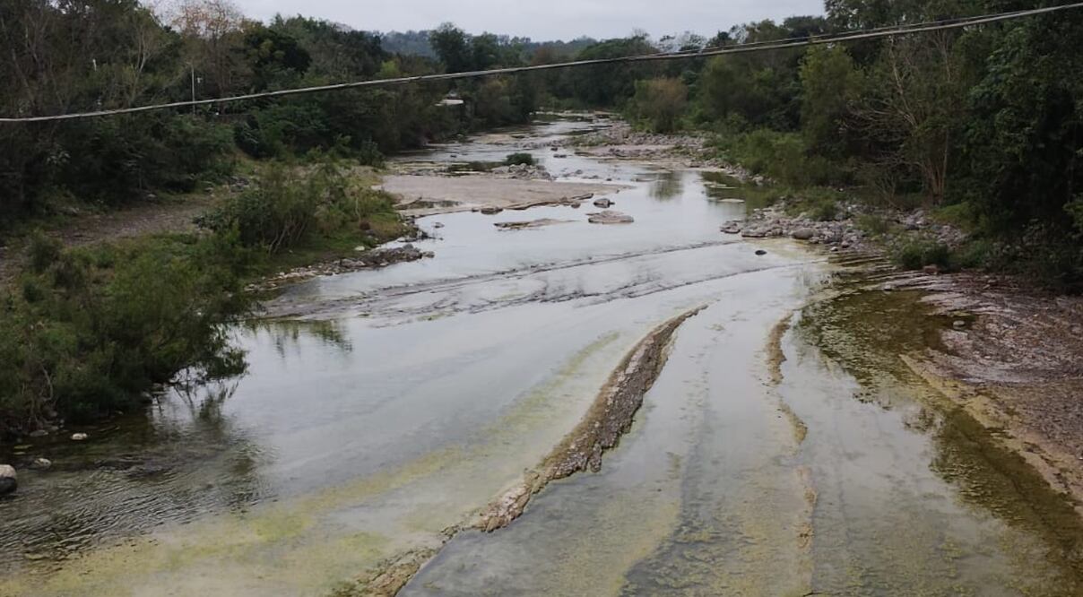 Foto: Francisco Bautista