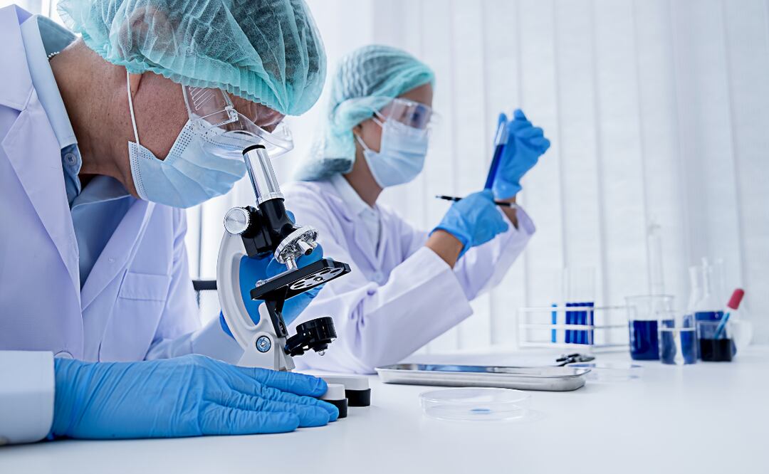 En Hidalgo hay 741 académicos inscritos en el Sistema Nacional de Investigadores (SNI), pero hay profesionales que también realizan estudios de investigación.