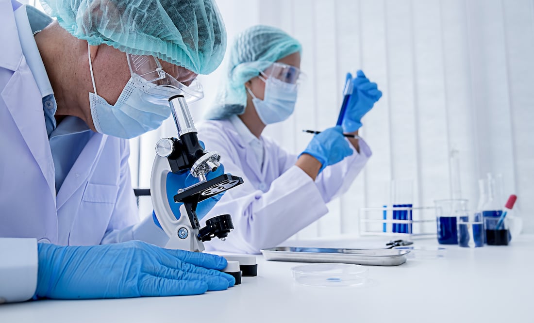 En Hidalgo hay 741 académicos inscritos en el Sistema Nacional de Investigadores (SNI), pero hay profesionales que también realizan estudios de investigación.