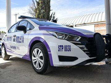 Proponen integrar a la Policía Violeta al marco legal de Hidalgo para garantizar su permanencia