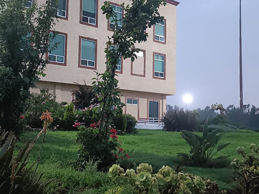 Tulancingo convierte basura orgánica en fertilizante para rescatar áreas verdes | Foto: ayuntamiento de Pachuca