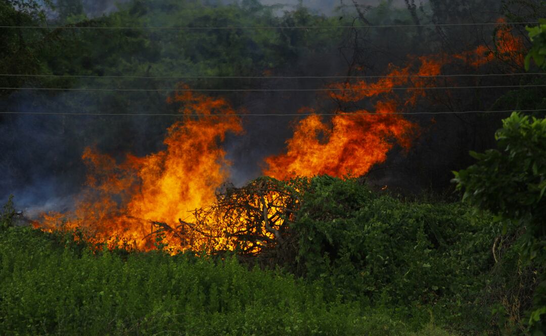 Además del incendio en los municipios de Zimapán y Nicolás Flores, en la demarcación de Huichapan, en el Valle del Mezquital, en las recientes semanas se han registrado alrededor de 20 incendios, de acuerdo con información emitida por Seguridad Pública Municipal | Foto: Pexels
