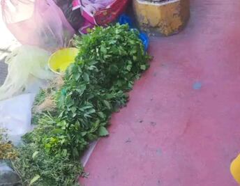 Autoridades municipales y auxiliares de Ixmiquilpan niegan desalojo de “chantitas”