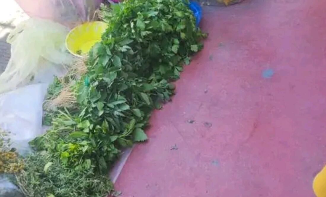 Foto: delegación San Antonio