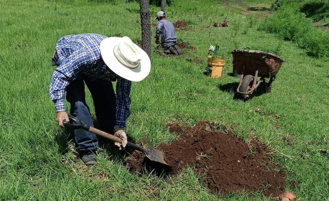 Los foros realizados corresponden a un proceso de alineación a la legislación federal, tratados internacionales y la agenda 2030 I Foto: Especial