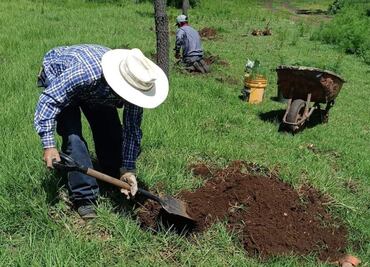 Desde febrero Semarnath trabaja en foros para la actualización de la Ley del Cambio Climático