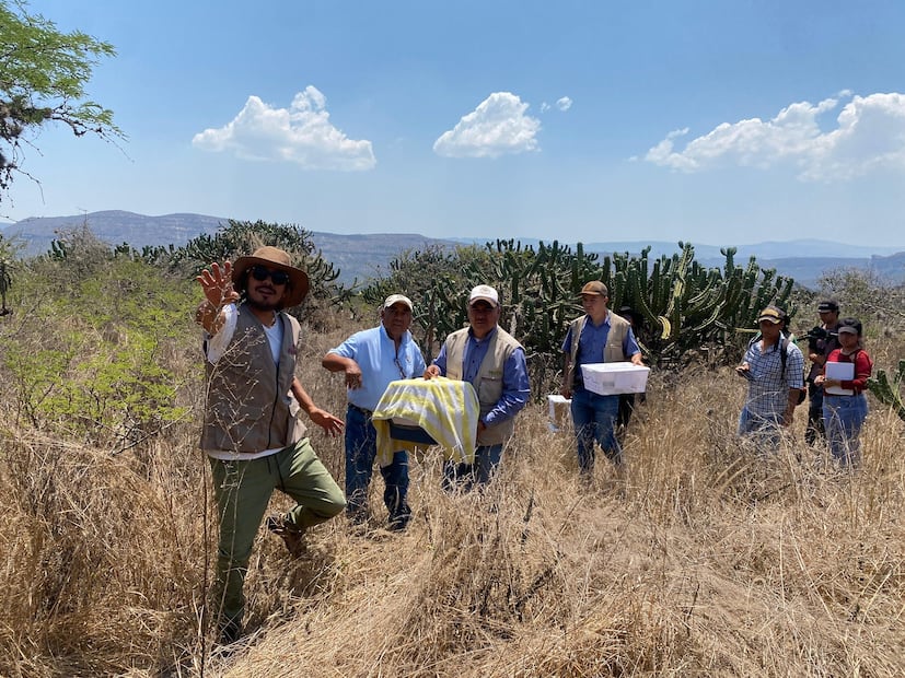 Refuerzan en Pachuca acciones para preservar fauna silvestre con liberación y reubicación de ejemplares | Facebook: H. Ayuntamiento de Pachuca
