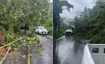 Fuertes lluvias provocan caída de postes y cortes de energía en Tenango de Doria