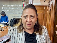 IEEH no tiene recursos para eventual consulta taurina; requeriría presupuesto extraordinario