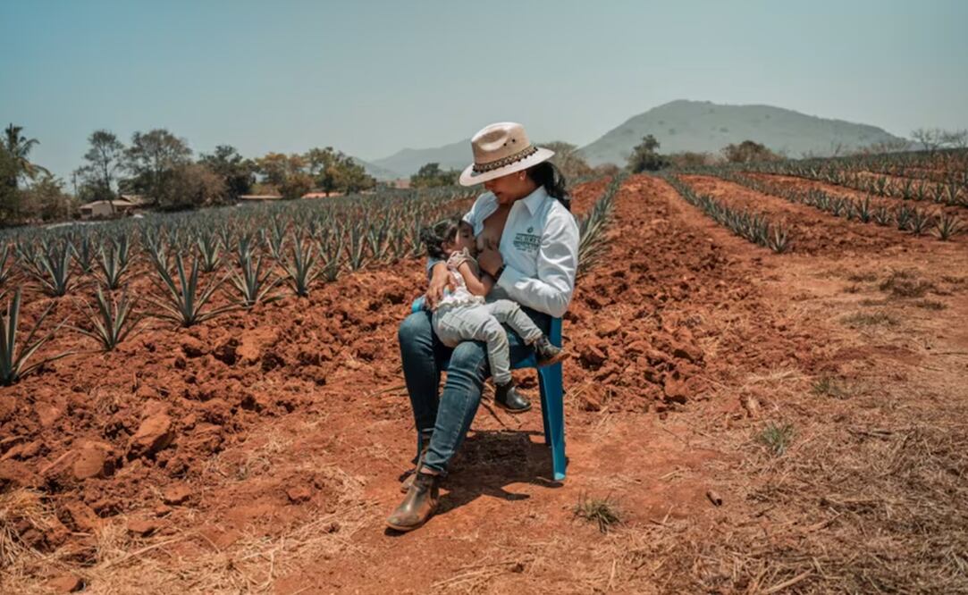 La cinta, dirigida por la portuguesa Francisca Siza, hace un recorrido desde los tiempos en que el medio del tequila y mezcal era vedado para las mujeres, pasando por burlas y la lucha para ser reconocidas oficialmente. Foto: Cortesia Francisca Siza.