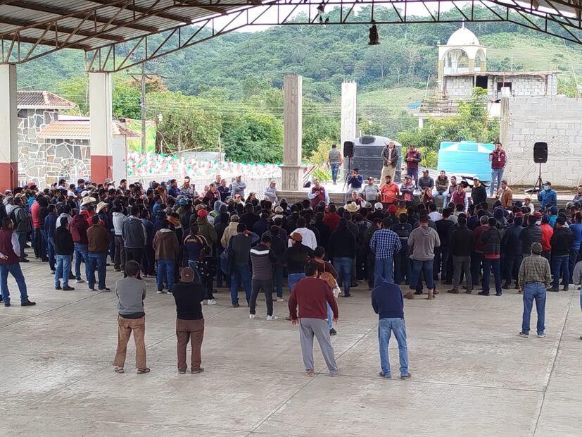 Deforestación y conflictos en la Huasteca; artesanos exigen permisos, pero sin planes de reforestación | Foto: Especial