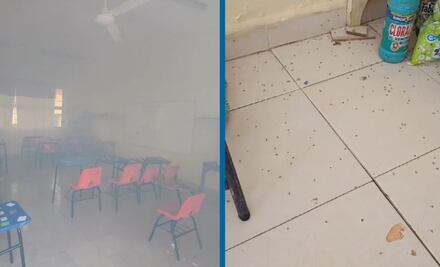 Plaga de zancudos invade Escuela Primaria de Huejutla