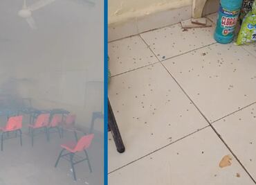 Plaga de zancudos invade Escuela Primaria de Huejutla