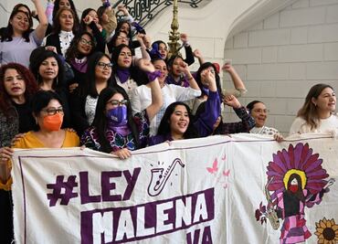 ¿Qué es la Ley Malena en México y por qué se llama así?