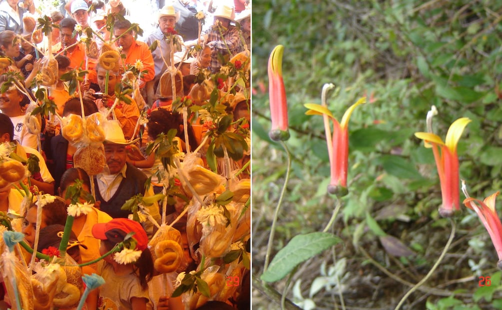 Fiesta de Agualinda, un agradecimiento ancestral al agua en Acaxochitlán | Facebook: Acaxochitlán Lugar de magia y cultura | Foto: Wikimedia Commons