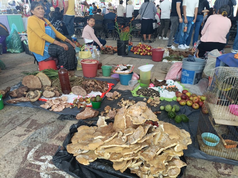 Así se vivió la Feria de la Manzana y el Hongo en Acaxochitlán I Foto: Grisel Lira