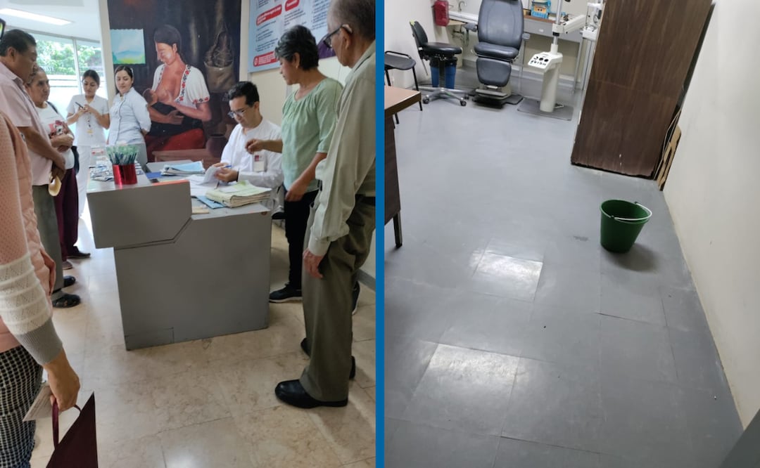 Fotos: Francisco Bautista